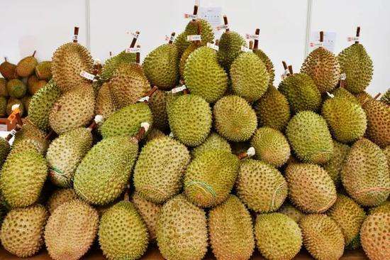 榴蓮進口報關代理服務案例，泰國馬來西亞榴蓮如何清關?