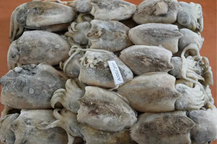 馬來西亞冷凍墨魚進(jìn)口報關(guān)流程