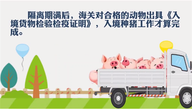 1585790950851247.png 進口豬肉代理公司